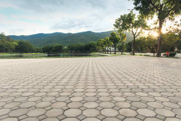 Best Driveway Paver Repair  in Byers, CO