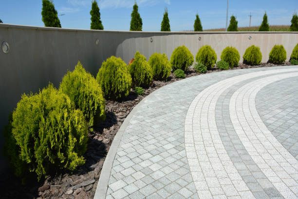 Best Driveway Pavers Near Me  in Byers, CO